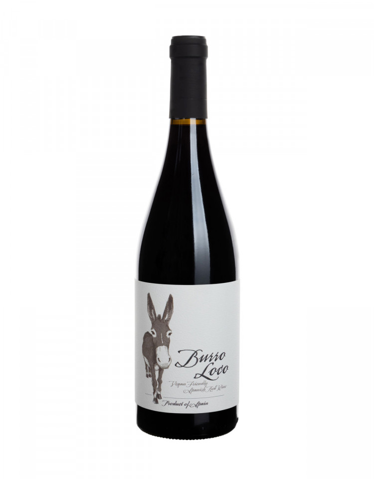 Vino&Alma Spanien | Tinto Kaufen aus Loco BIO-Rotwein Burro