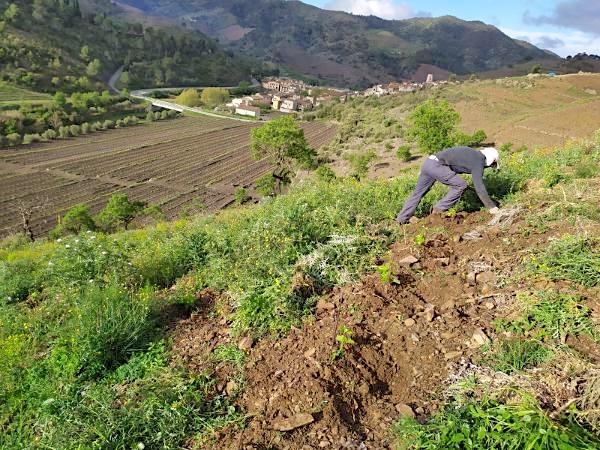 Katalonien, Priorat